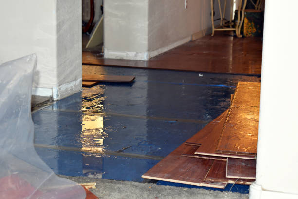 Professional Sewage Cleanup technician working in Harrison, ID